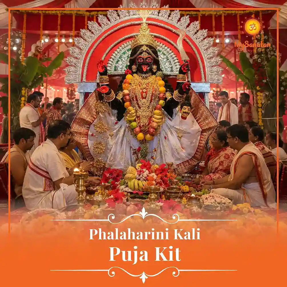 Phalaharini Kali Puja Kit